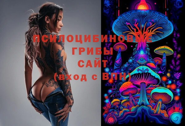 стафф Михайловка