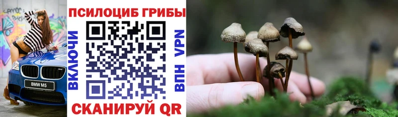 дарнет шоп  гидра tor  Псилоцибиновые грибы Cubensis  Суздаль 